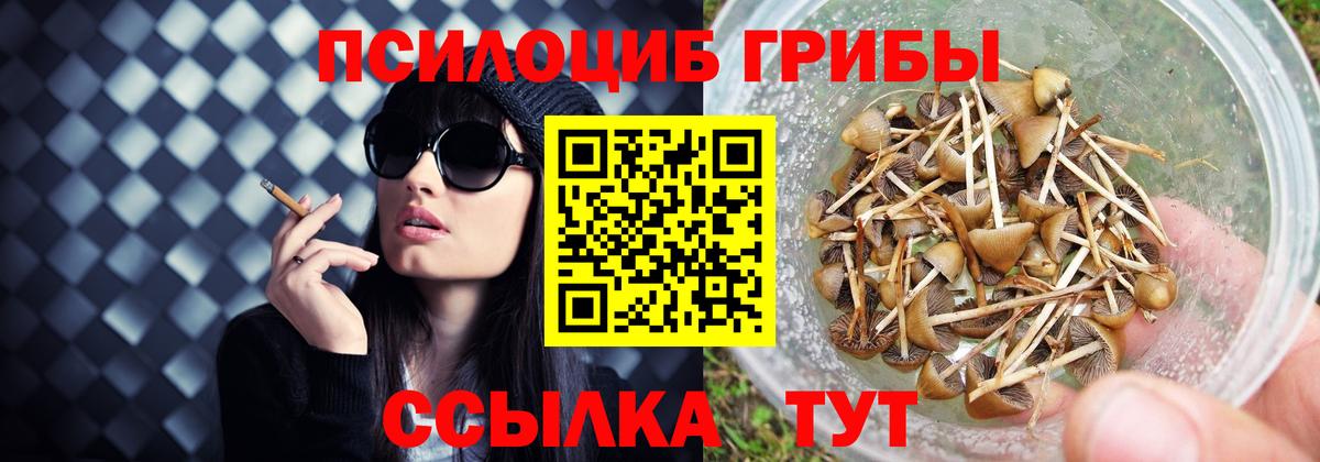 Псилоцибиновые грибы MAGIC MUSHROOMS Феодосия