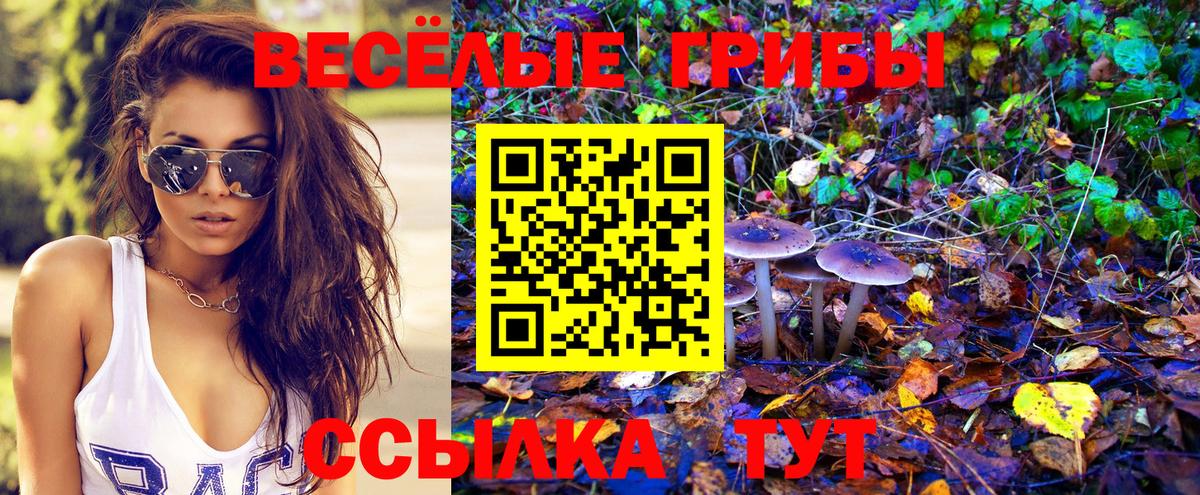 Меф   Гашиш  Феодосия  ТГК  LSD-25  Вход с VPN  МАРИХУАНА 